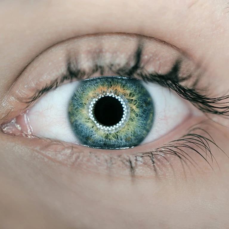 Comprendre l'importance de l'ISO 27001 en format PDF