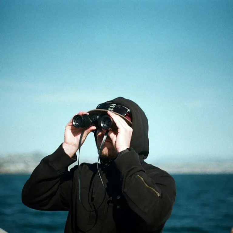 Pourquoi faire appel à un expert DBA pour optimiser la gestion des données en entreprise