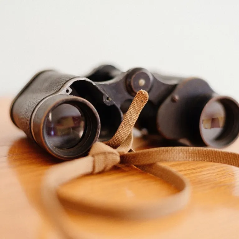 Comment optimiser la gestion des listes de transactions SAP au format PDF